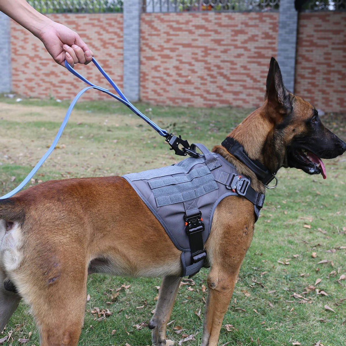Tactical Dog Harness for Medium Breeds with Full Metal Buckles