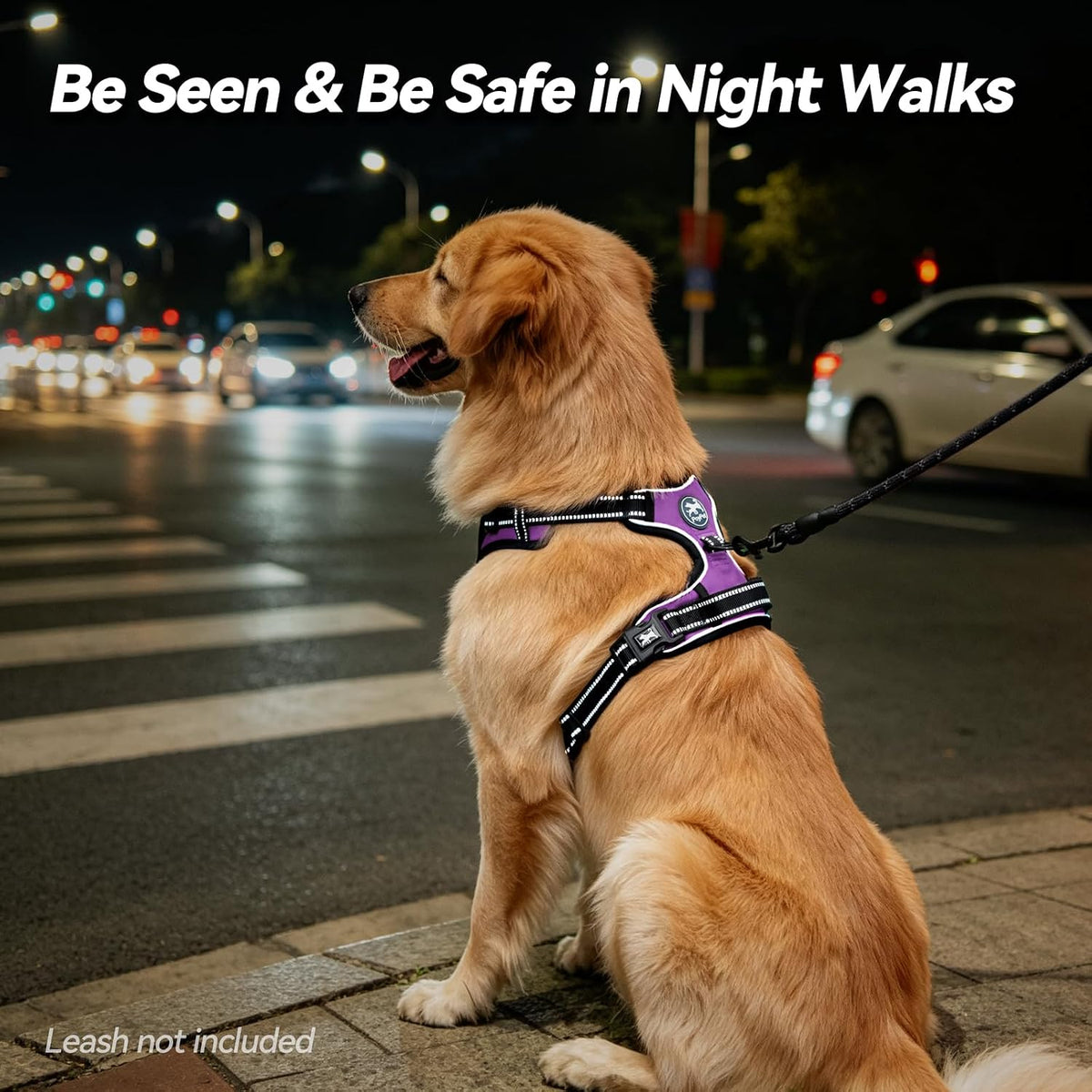 Medium No-Pull Dog Harness with Front Clip and Neck Release Buckle