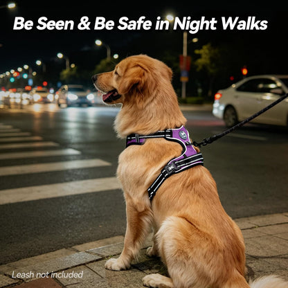 Medium No-Pull Dog Harness with Front Clip and Neck Release Buckle