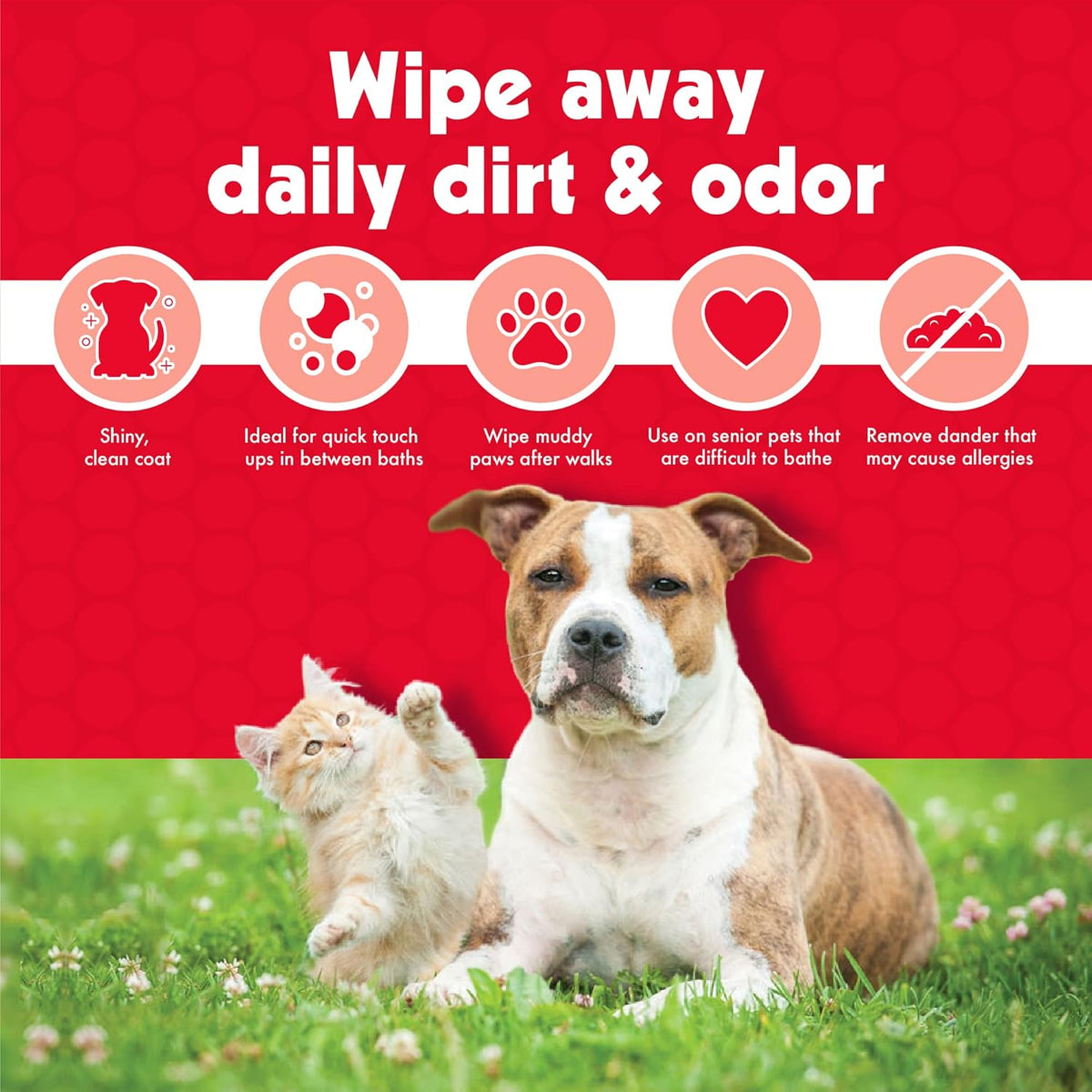 Premium Pet Wipes for Dogs and Cats - 100 Large Wipes for Effective Dirt and Odor Removal - Cleans Ears, Face, Butt, and Eye Area - Convenient for Home or Travel - 1 Pack