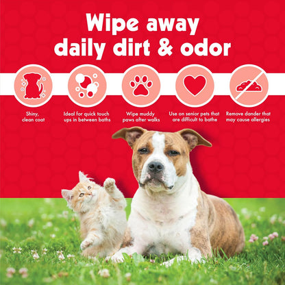 Premium Pet Wipes for Dogs and Cats - 100 Large Wipes for Effective Dirt and Odor Removal - Cleans Ears, Face, Butt, and Eye Area - Convenient for Home or Travel - 1 Pack