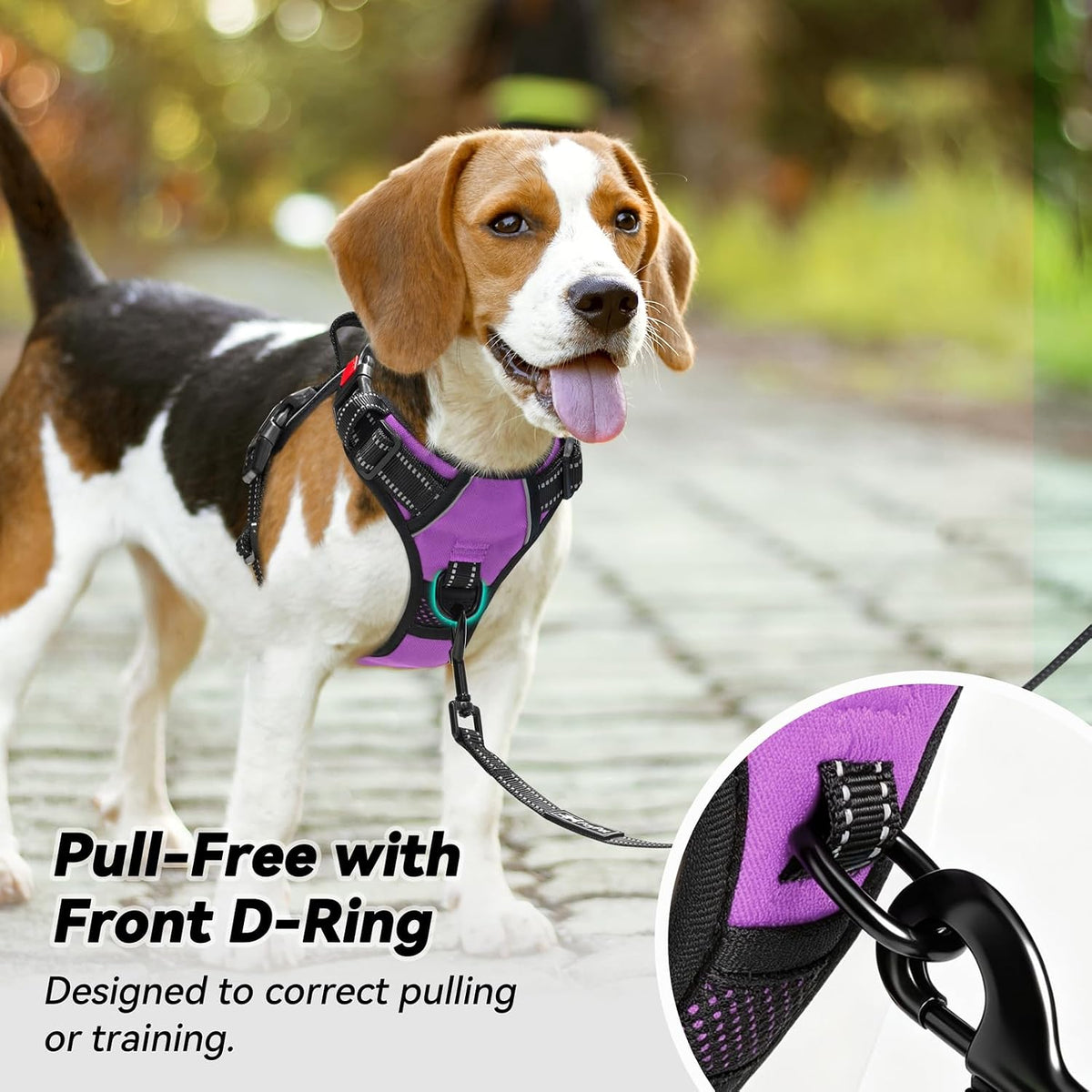 Medium No-Pull Dog Harness with Front Clip and Neck Release Buckle