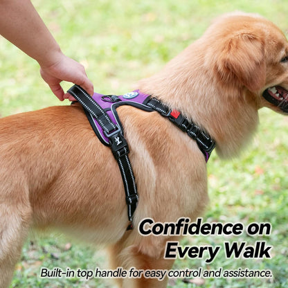 Medium No-Pull Dog Harness with Front Clip and Neck Release Buckle